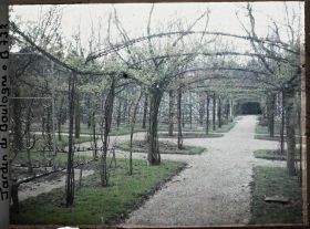 Image représentant Le verger-roseraie au sud de son axe central, vu près du jardin français en direction de la dépendance