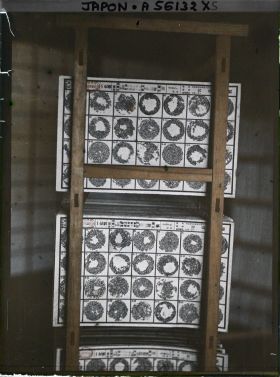 Image représentant Cartes d'œufs de papillons prêtes pour la vente