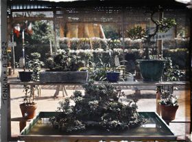 Image représentant Une exposition florale