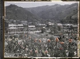 Image représentant Panorama sur le village depuis une pépinière ou un jardin