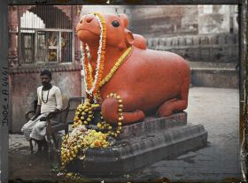 Image représentant Kashi Vishvanath (le Temple d'Or) : statue du taureau sacré Nandi (ou Nandin), monture de Shiva, ornée de guirlandes d'oeillets d'Inde
