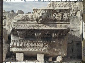 Image représentant Fragment à terre d'une corniche représentant un lion servant de gargouille. Il provient du péristyle méridional du sanctuaire du Temple de Jupiter Héliopolitain