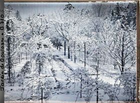Image représentant Parterre de rosiers et allée enneigée menant à la forêt bleue, dans la partie est du verger-roseraie
