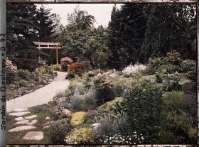 Image représentant Pas japonais et chemin fleuri menant à un torii du " sanctuaire japonais "