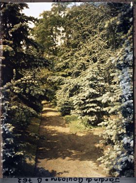 Image représentant La forêt bleue