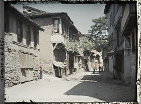 Image représentant Rue traversée par une vigne en treille