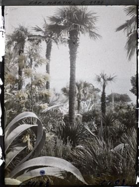 Image représentant le Jardin