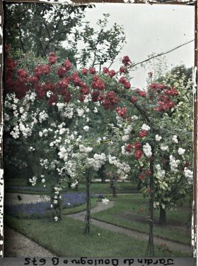 Image représentant Partie nord-ouest du verger-roseraie, vue vers la dépendance, près du rond-point qui en est proche