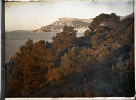 Image représentant Pointe rocheuse et paysage arboré vus en direction de Monaco, près de la villa Kahn dite villa Zamir