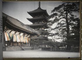 Image représentant Temple Kôfuku-ji : Le Tokondo (pavillon d'or de l'est), la Gojunoto (pagode à cinq étages) et le pin Hana-no-matsu