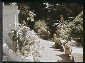 Image représentant Villa Miramar fleurs près du perron