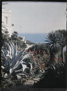 Image représentant Le jardin et la villa