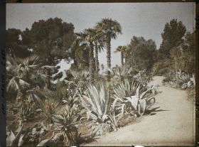 Image représentant Cap Martin Le Jardin