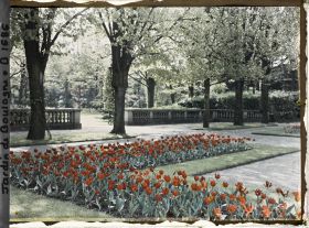 Image représentant Parterre nord-est du jardin français et ouverture sur le jardin anglais