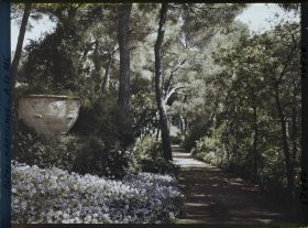 Image représentant Elément décoratif et parterre fleuri au bord d'une allée de pinède, dans le jardin de la villa Cypris