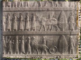 Image représentant Escalier nord de l'Apadana, détail de la procession des tributaires