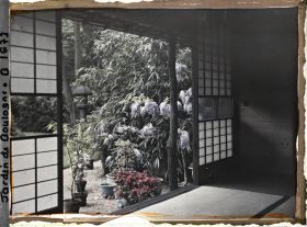 Image représentant Glycine et azalée sur fond de jardin, vues de l'intérieur de la maison est du " village japonais "