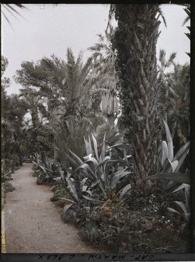 Image représentant Le Jardin