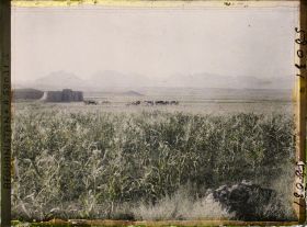 Image représentant Vue vers le caravansérail