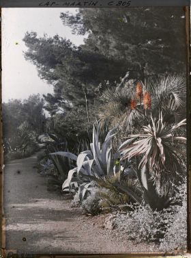 Image représentant Une allée dans le jardin