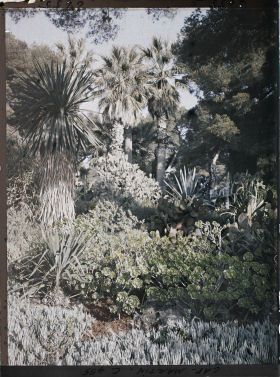 Image représentant Cap Martin Le Jardin