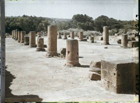 Image représentant La basilique judiciaire