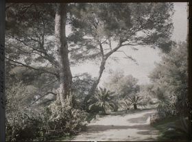 Image représentant Cap Martin Le Jardin