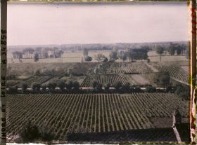 Image représentant Panorama sur les Vignobles