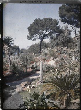 Image représentant Le jardin