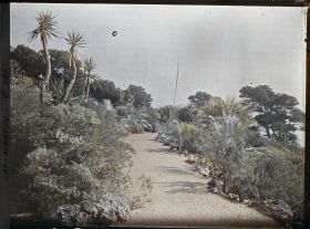 Image représentant Cap Martin Le Jardin