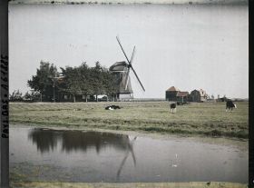 Image représentant Ferme et moulin à vent dans un polder