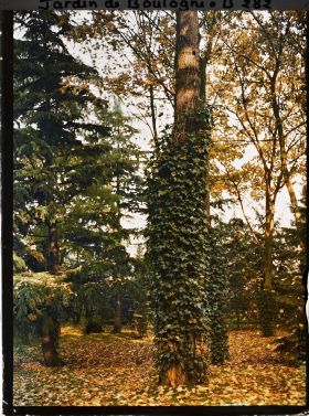 Image représentant Effet d'automne à promiximité de la Grande Pelouse