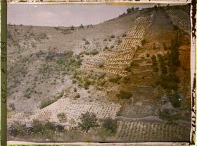 Image représentant France, Luzech, La culture de la Vigne : la terre claire ; les terrasses et le déboisement des ances cultures de vignes abandonnées