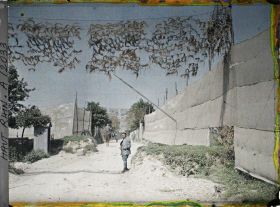 Image représentant Route camouflée