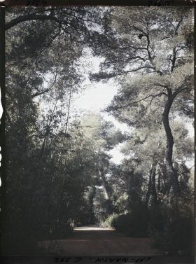 Image représentant Cap Martin Le Jardin