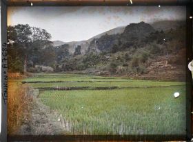 Image représentant Une rizière au pied des rochers, sur lesquels on distingue une case Mnong