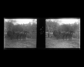 Image représentant Voiture de l'ambassade de France dans le jardin botanique de l'Université impériale de Tokyo