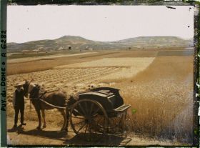 Image représentant France, Près Coudes