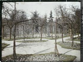 Image représentant Partie du verger-roseraie vue vers le nord-ouest, depuis le rond-point proche du jardin français