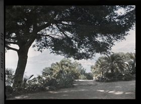 Image représentant Cap Martin Le Jardin