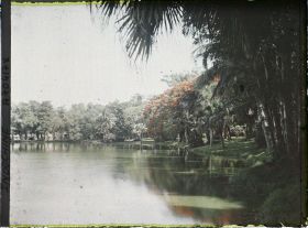 Image représentant Un lac au coeur d'un jardin botanique