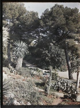 Image représentant Cap Martin Le Jardin