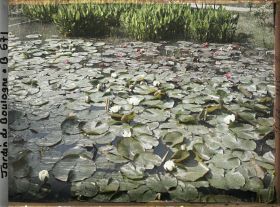 Image représentant jardins