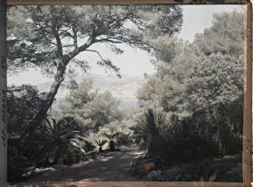 Image représentant Jardin de Miramar