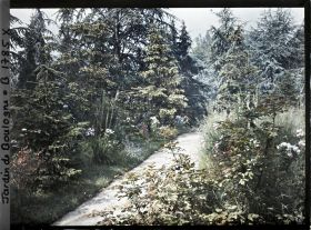 Image représentant La prairie et la forêt dorée