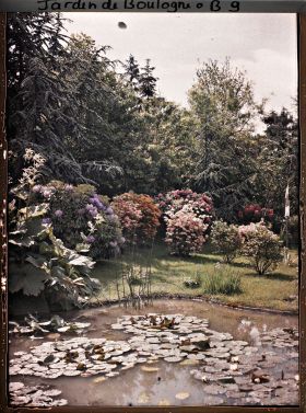 Image représentant Massif de rhododendrons et d'azalées en fleurs bordant l'est du marais, vu en direction du sud-est