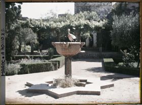 Image représentant Cigogne sur une vasque du jardin de la madrasa dans la casbah des Oudaïa