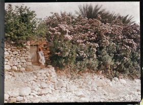 Image représentant Un jeune garçon près de la porte d'un jardin