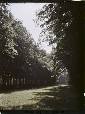 Image représentant France, Compiègne, Une allée du Parc