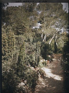 Image représentant Cap-Martin - Le Jardin